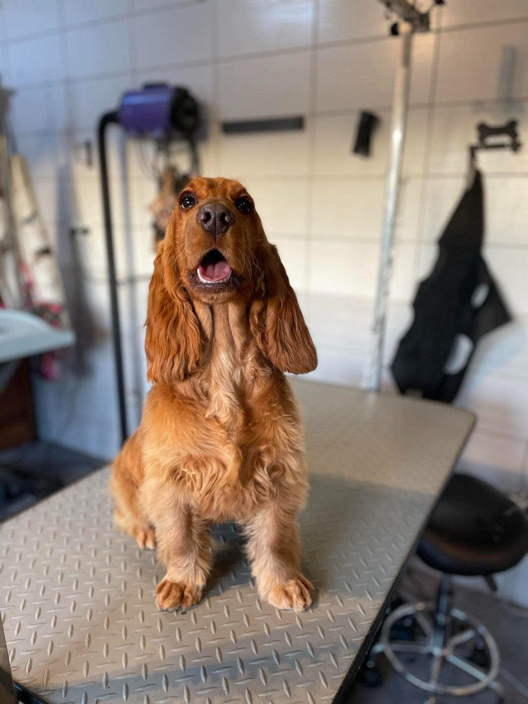 Amarra (Sans Affixe)