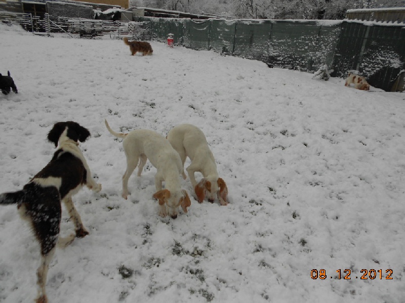 Neige et Ballade